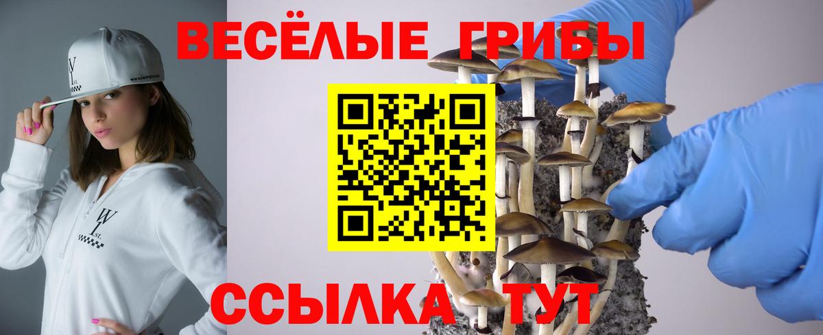 Галлюциногенные грибы ЛСД Выборг